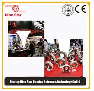 6218M_C3VL0241 insulated bearing in China